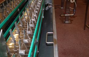 Trout_Conveyors