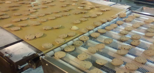 Stainless Steel Conveyor Belt Fabrication